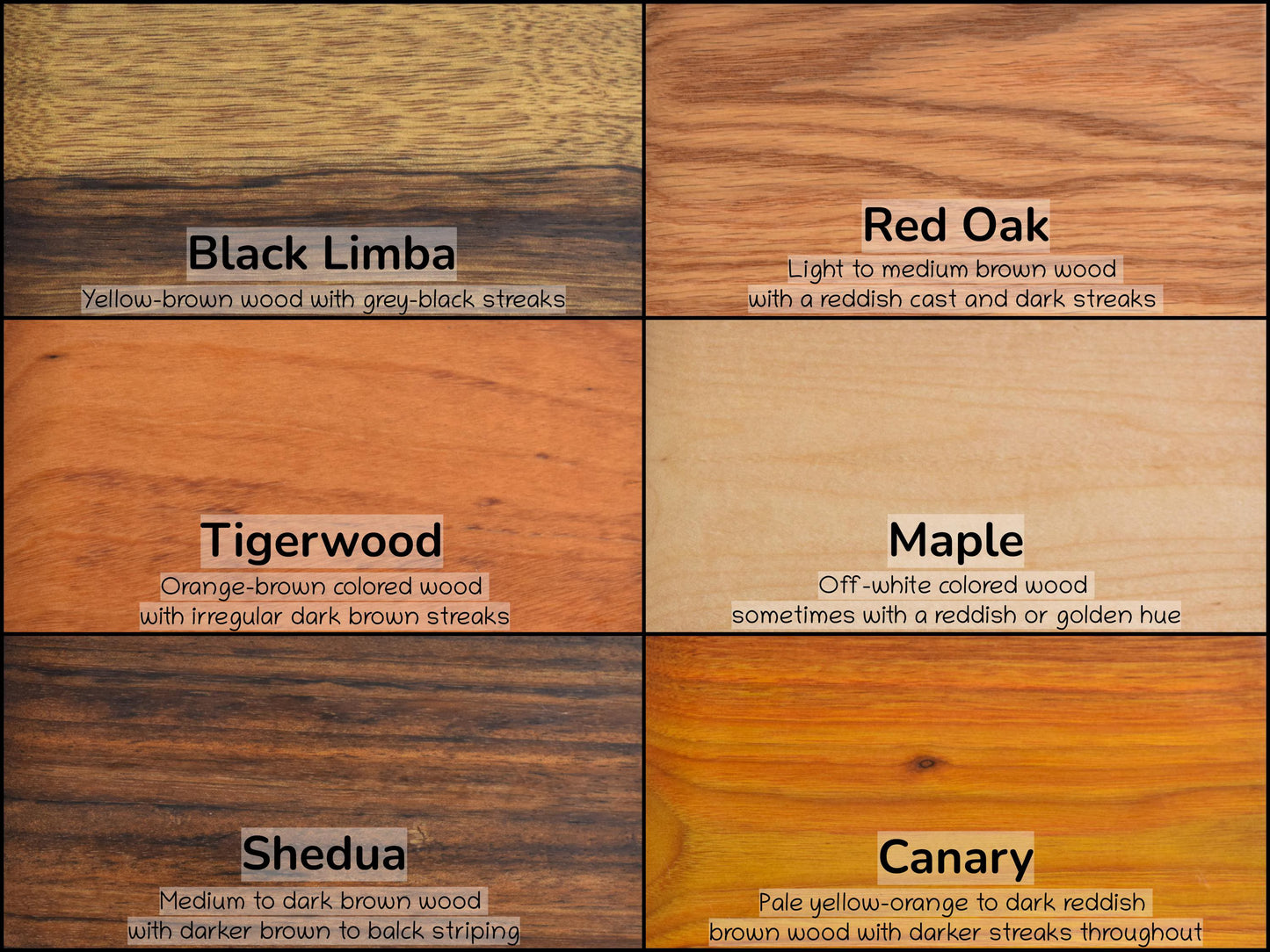 Bench Scraper - Dough Knife