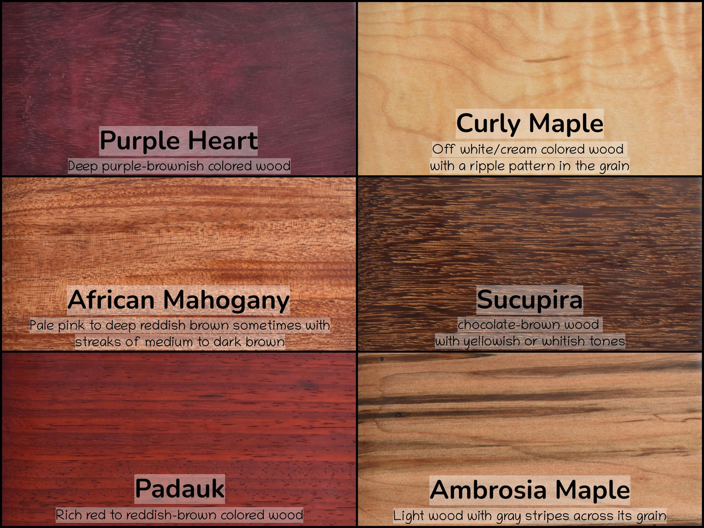 Bench Scraper - Dough Knife